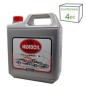 Huile de jardin 10W30 - 5L - Compatible avec WLADOIL AW111029L5