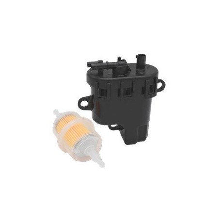 ANPASSTE PUMPE EFI-SYSTEME AG0470004 Kompatibel | Newgardenstore.eu