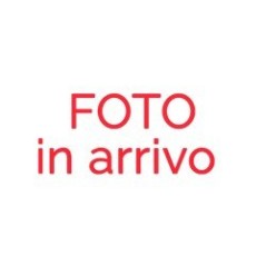 PULEGGIA V UNIVERSALE - VIP2875-3.190 AG2020021 Compatibile | Newgardenstore.eu