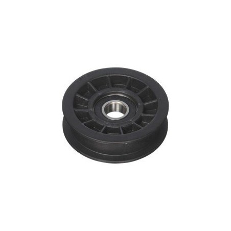 UNIVERSAL FLAT PULLEY - FIP6000-0.75 AG2030059 Compatible | Newgardenstore.eu