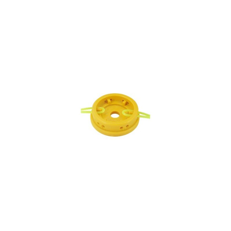 Tête de tarentule en PVC compatible AG4530052