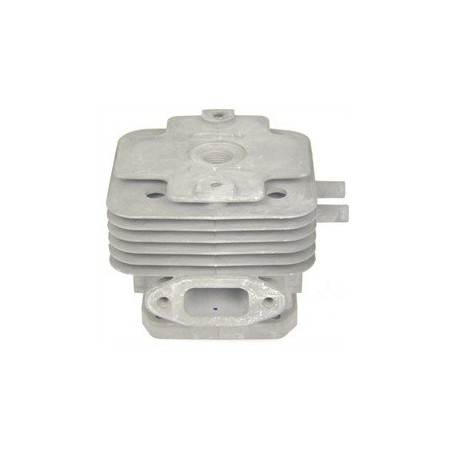 CILINDRO MOTORE TJ53 KS110050679 Originale Kawasaki | Newgardenstore.eu