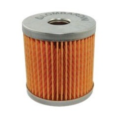 Filtre à carburant Lombardini 273 LDA ALO312175009 d'origine | Newgardenstore.eu