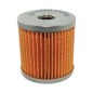 Original Lombardini 273 LDA ALO312175009 FUEL FILTER