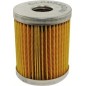 Filtre à carburant d'origine Lombardini LDA ALO312175032