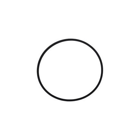 Vergaser-Schwimmkammerdichtung KS110617009 Original Kawasaki | Newgardenstore.eu