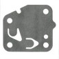 MEMBRANA TK KS430282066 Originale Kawasaki