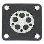 DIAFRAGMA DE BOMBEO KS430282065 Original Kawasaki
