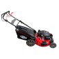 Tagliaerba a scoppio AMA TRX 531H Honda 200 cc larghezza taglio 53 cm cesto 65 L