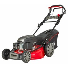 Cortacésped de gasolina AMA TRX 560HL, 196 cc, ancho de corte de 56 cm, recolector de césped de 65 L | Newgardenstore.eu