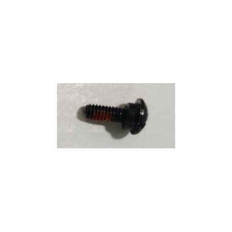 Screws M4x10 ORIGINAL Sunseeker 16600846-01 | Newgardenstore.eu