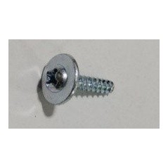 Vite ST2.9×12-F ORIGINALE Sunseeker 16600883-05 PER X3/X5/X7 | Newgardenstore.eu