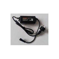 3A-Akkuladegerät (CH-Version) ORIGINALMARKE SUNSEEKER 16600922-03 | Newgardenstore.eu