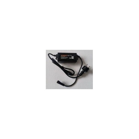 Cargador de batería 3A (versión CH) ORIGINAL Sunseeker 16600922-03 | Newgardenstore.eu