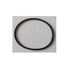 Anillo de sellado de la cámara principal 2 ORIGINAL Sunseeker 16600915-02 | Newgardenstore.eu
