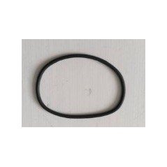Anillo de sellado de la tapa del paquete de baterías ORIGINAL Sunseeker 16600916-02 | Newgardenstore.eu