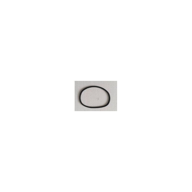 Anillo de sellado de la tapa del paquete de baterías ORIGINAL Sunseeker 16600916-02