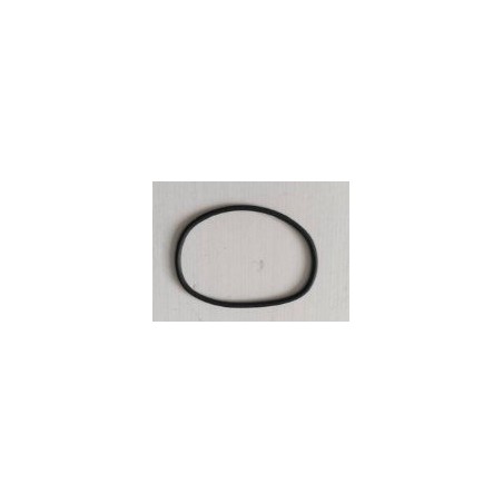 Anillo de sellado de la tapa del paquete de baterías ORIGINAL Sunseeker 16600916-02 | Newgardenstore.eu