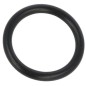 Joint en caoutchouc EPDM d'origine Grin PRT-0145 19,5 x 12,5 x 3