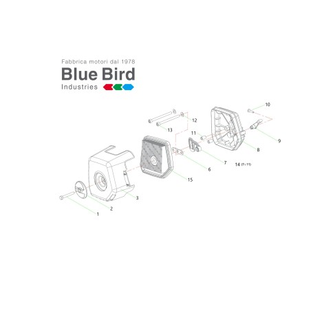 TORNILLO TE M5X35 UNI 5737 ZB 032150 ORIGINAL BLUE BIRD | Newgardenstore.eu
