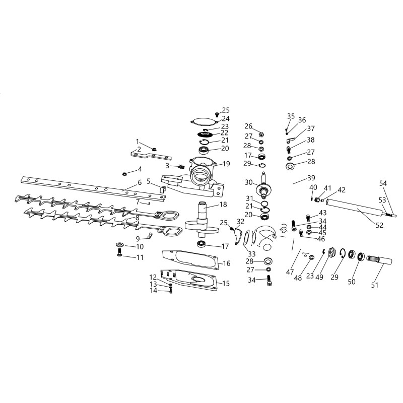 VIS DE TAILLEUR DE HAIE ORIGINALE DGJ260 CG7325  BLUE BIRD