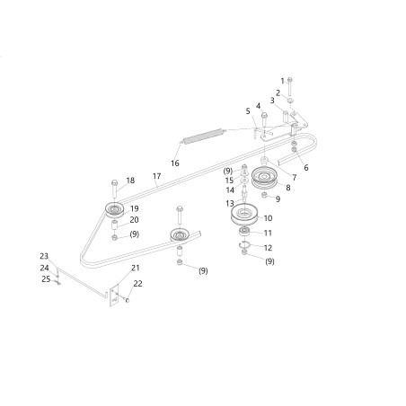 PULEGGIA CINGHIA TRASMIS. LTC 86H 20071208 ORIGINALE BLUE BIRD | Newgardenstore.eu