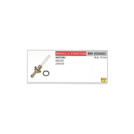 Filtre à essence BRIGGS&STRATTON 083100 - 25M100 tondeuse 797346 | Newgardenstore.eu