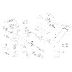 ANNEAU | Newgardenstore.eu