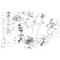 ALBERO DEL RULLO ANTERIORE XR50027606 ORIGINALE Worx