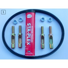 Kit di assistenza 380204 AR380204 ORIGINALE Billy Goat