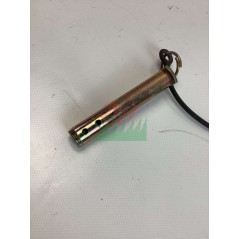 GOUPILLE DE FIXATION ORIGINAL GOLDONI 00003537 | Newgardenstore.eu