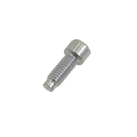 Pair of screws fixing manifold muffler muffler LONCIN engine 413 432 452 | Newgardenstore.eu