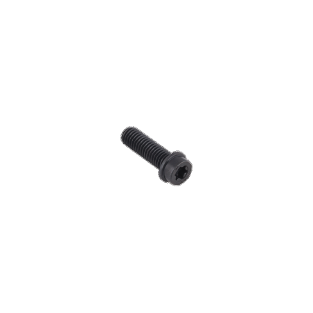 SCREW ITXSCM 525825101 ORIGINAL HUSQVARNA | Newgardenstore.eu