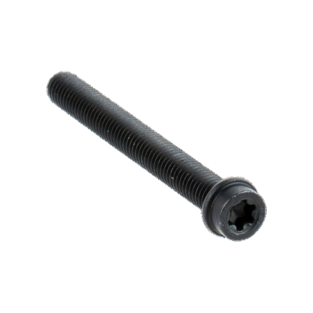 SCREW ITXSCM 525825107 ORIGINAL HUSQVARNA | Newgardenstore.eu