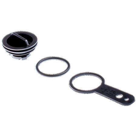 Zündkerzen-Set 581621201 Original Husqvarna | Newgardenstore.eu
