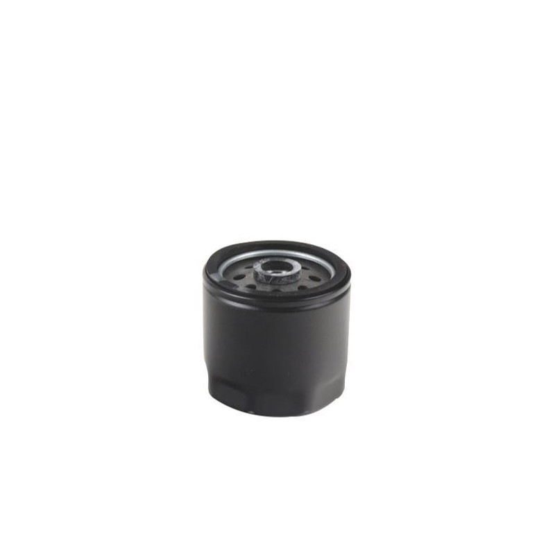 Engine fuel filter compatible ACME AD118 - AD121 - ADN37 - ADN37 W