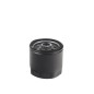 Engine fuel filter compatible ACME AD118 - AD121 - ADN37 - ADN37 W