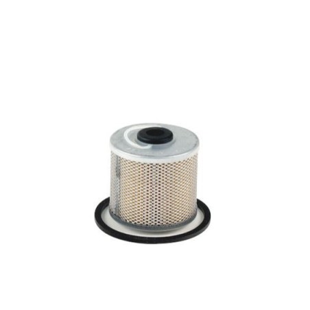 Filtro carburante motore compatibile LOMBARDINI RUGGERINI | Newgardenstore.eu