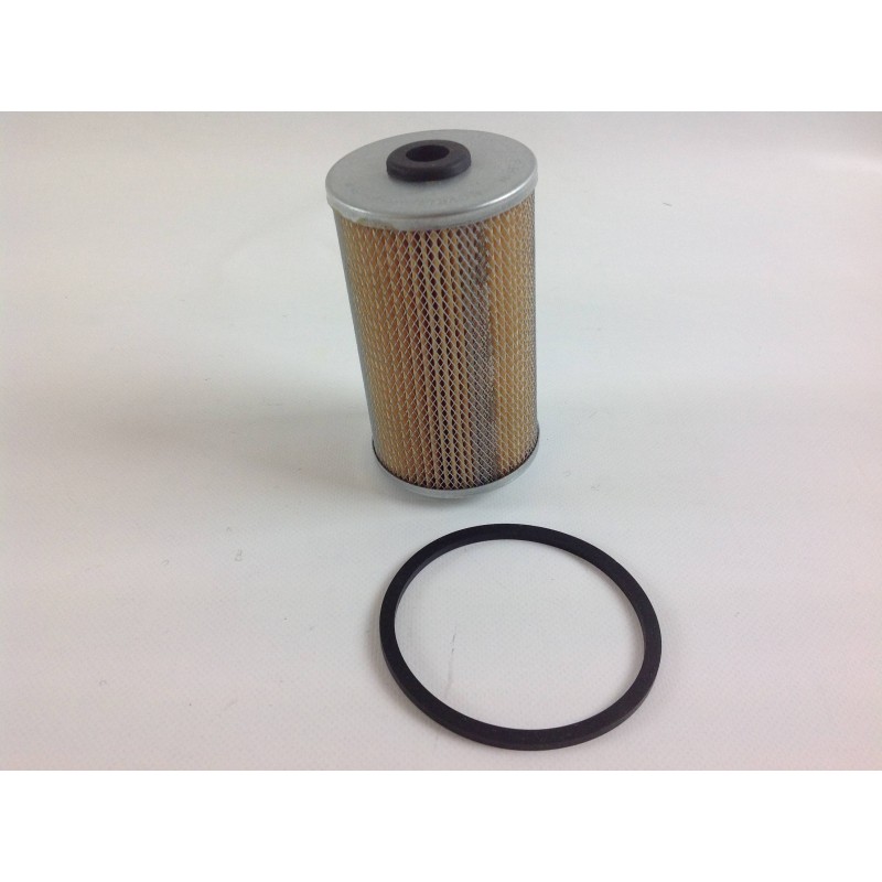 Submerged naphtha fuel filter for RUGGERINI rd951/2 crd100/2 engine