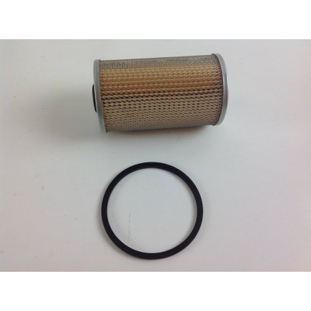 Submerged naphtha fuel filter for RUGGERINI rd951/2 crd100/2 engine
