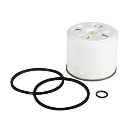 NEWGARDENSTORE fuel filter for CASE 1200 - 1210 engines | Newgardenstore.eu