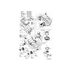 Tondeuse à gazon manuelle MTD-BLACK 787-01163637 ORIGINALE MTD | Newgardenstore.eu