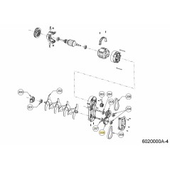 6020164 6020164 ORIGINALE MTD | Newgardenstore.eu