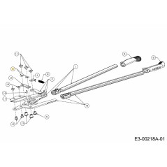 Laveuse Belleville 736-05543 d'origine MTD
