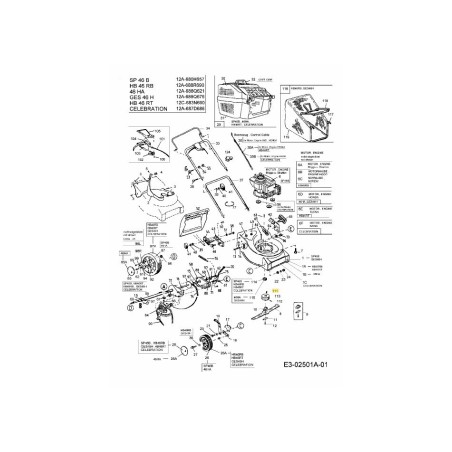 CLÉ :SQ :3/16 x 0,50 714-3009 ORIGINAL MTD | Newgardenstore.eu