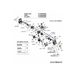 Vis Torx HD 791-182519 d'origine MTD | Newgardenstore.eu