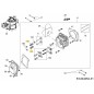molla 751-12004 ORIGINAL MTD