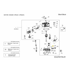 Knopffeder 751-12250 Original MTD