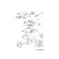 Coude 3/8 NPTX 1/2" BARB AF-46277 ORIGINAL MTD Coude 3/8 NPTX 1/2" BARB AF-46277 ORIGINAL MTD