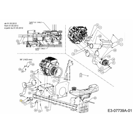 ŒILLET 735-04291 ORIGINAL MTD | Newgardenstore.eu